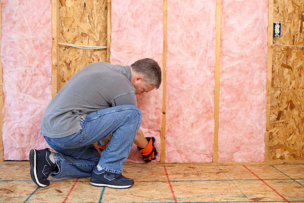 Professional Foam Insulation Services in Meridianville, AL